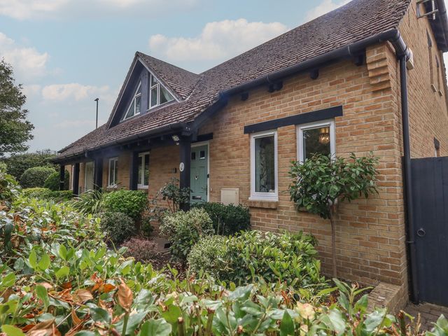 A house with windows and a garden at June Cottage in Wool