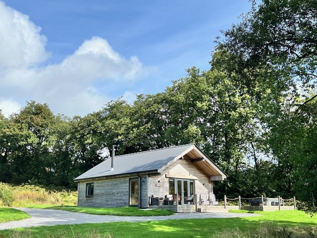 A cabin in the woods with a pathway and outdoor seating at Cadno Aber near Llanybydder