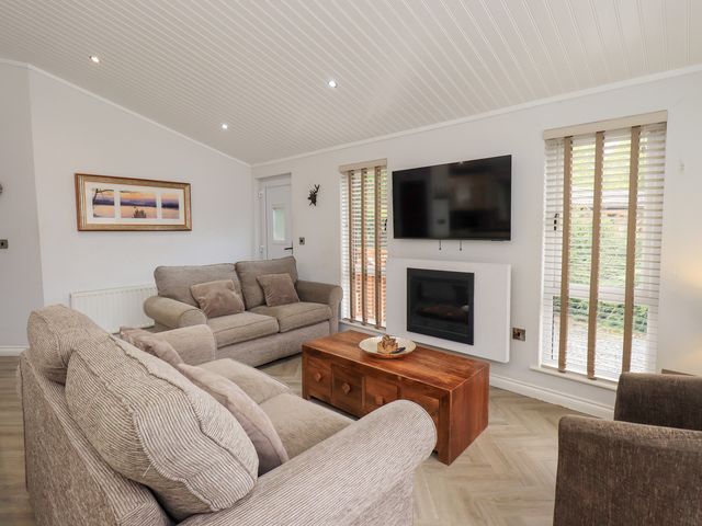 Laughing Duck - 1183242 - photo 5