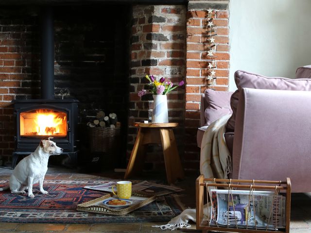 A living room with a dog and fireplace at The Old Post Box 