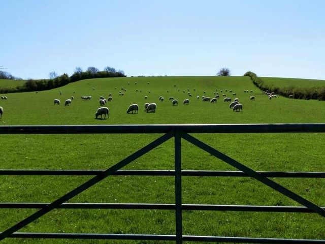 Newhouse Farm (private land) - Holiday Accommodation 12437 - 1185193 - photo 1 