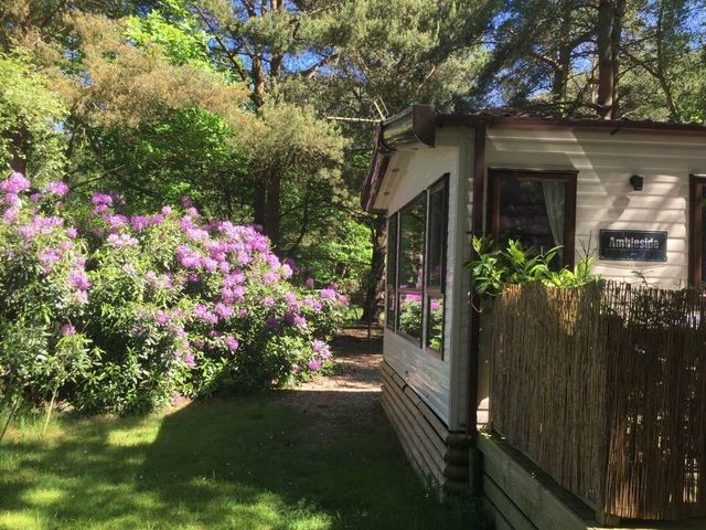 Kelling Heath Holiday Park - Holiday Accommodation 12993 - 1185282 - photo 1 