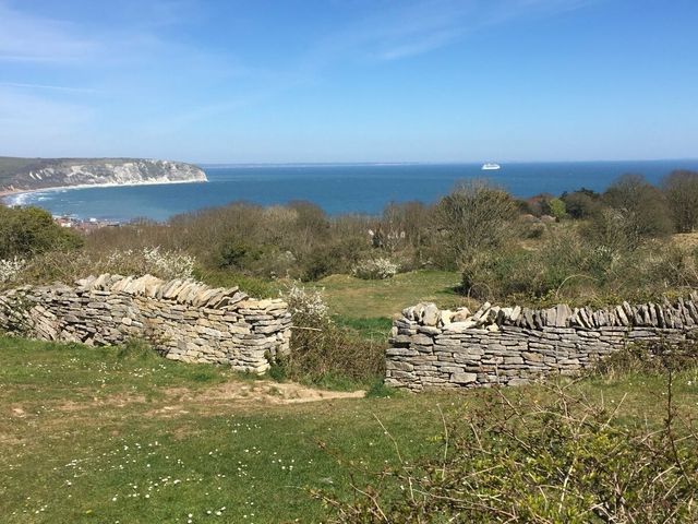 Swanage Bay View - Holiday Accommodation 15464 - 1185753 - photo 1 
