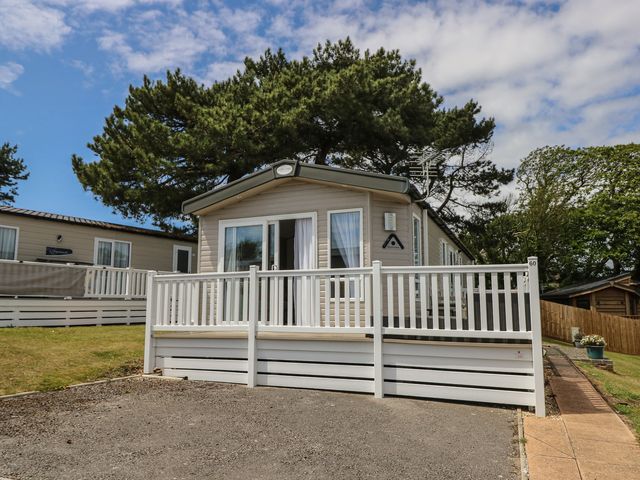 A cabin with a deck and trees at Pine Tree Lodge - Shorefield Country Park in Milford On Sea