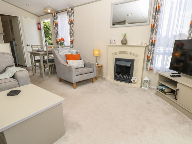 Pine Tree Lodge - Shorefield Country Park - 1185777 - photo 4