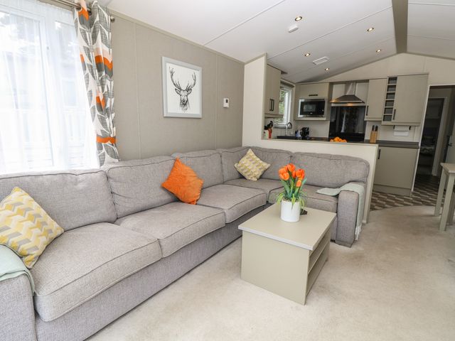 Pine Tree Lodge - Shorefield Country Park - 1185777 - photo 5