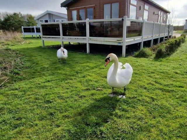 Lakeland Leisure Park - Holiday Accommodation 16418 - 1186012 - photo 1 