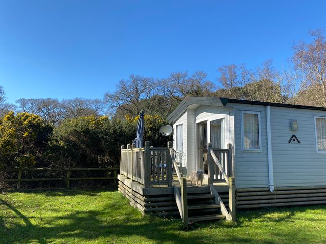 A holiday cabin with a deck and a dog at Kelling Heath Holiday Park - Holiday Accommodation 16498, Holt