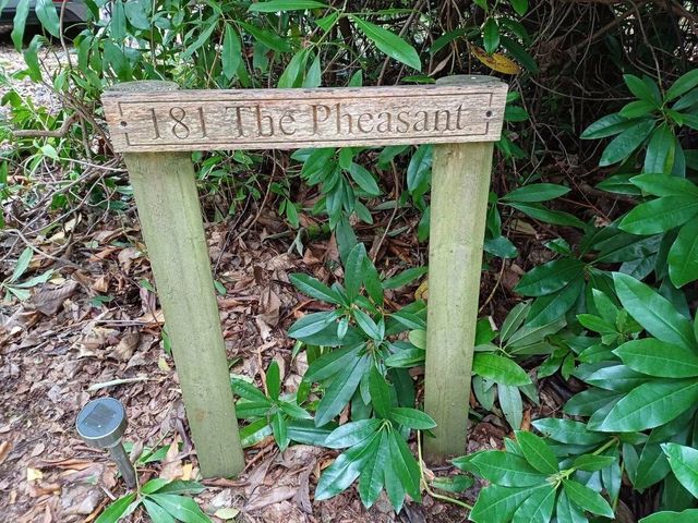 Kelling Heath Holiday Park - Holiday Accommodation 18994 - 1186801 - photo 1 