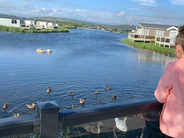 Lakeland Leisure Park - Holiday Accommodation 21350 - 1187884 - photo 1 