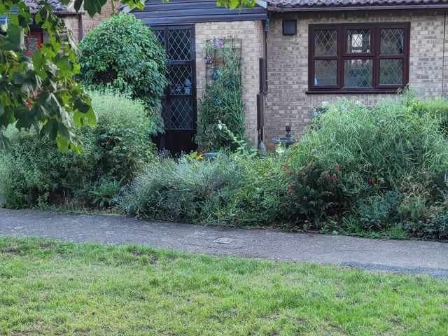 A garden with various plants and a pathway at the property