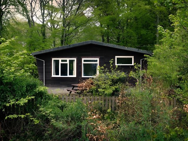 A house surrounded by greenery at Baillie Chalet in 