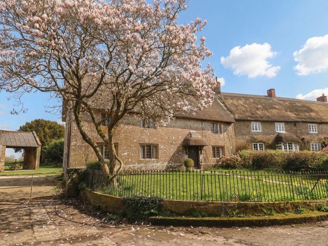A house with a flowering tree in the garden at Manor Cottage Kingstone near Ilminster
