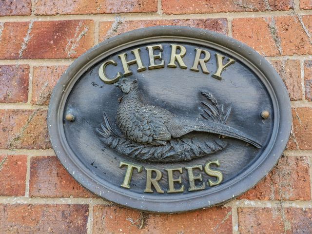 Cherry Trees - 1191145 - photo 3