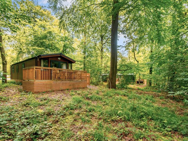 Alford Spa - 1191531 - photo 4