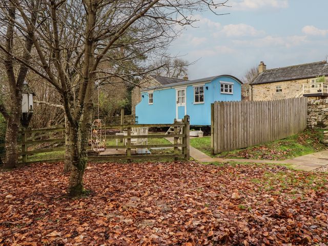 A blue cabin and fence in a garden area at Meadows in Hexham