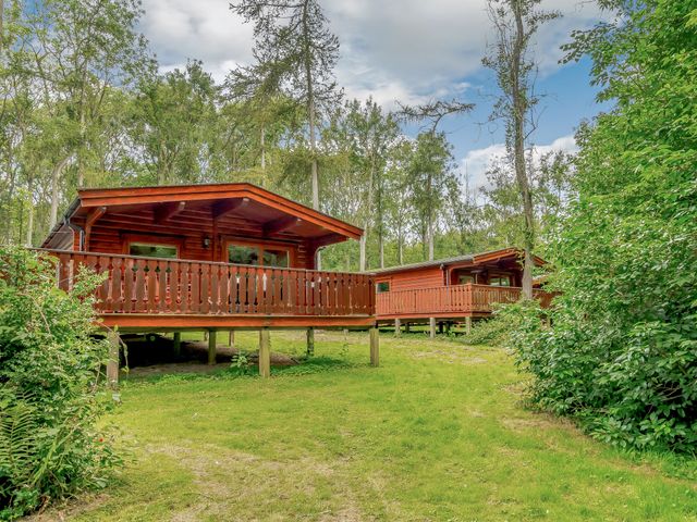 Cedar Lodge (Pet) - 1191566 - photo 1 