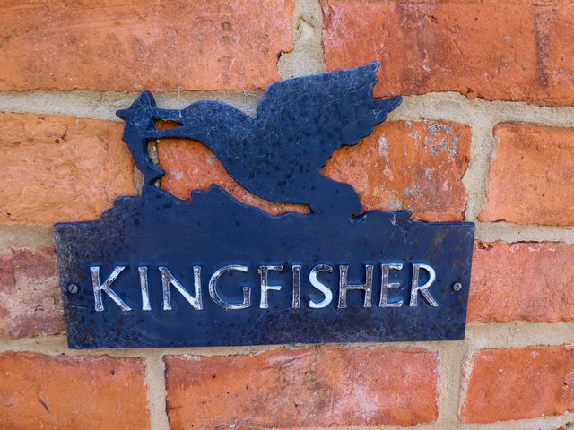 Kingfisher - 1191819 - photo 3