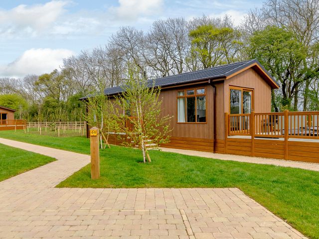 A cabin with a pathway and trees at The Castor in Kings Cliffe