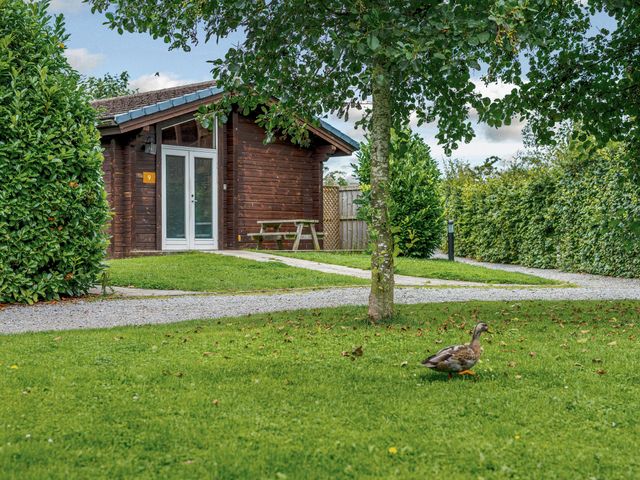 Yew Tree Spa (Pet) - 1192524 - photo 2