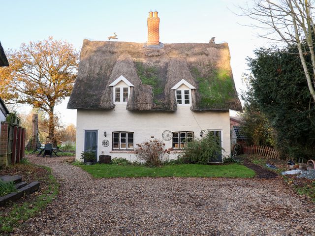 A thatched roof cottage with a gravel driveway and garden shrubs at The Hare & the Bumblebee Cottage