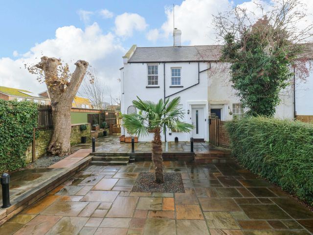 A garden with a palm tree and stone pathway at 1A Coastguard Cottages in Rye