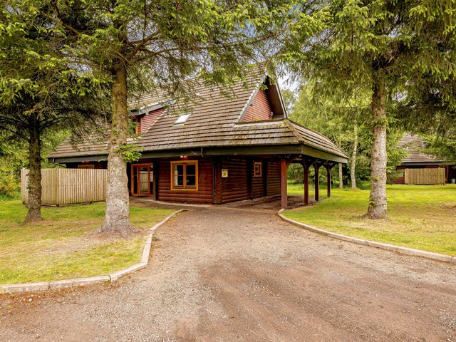 Eagle Spa Plus (Pet) - 1192870 - photo 2