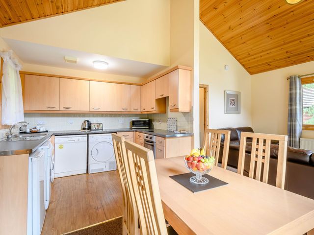 Rainbow Lodge - 1192882 - photo 5