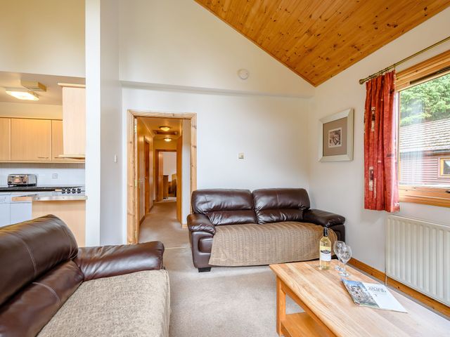 Osprey Lodge - 1192891 - photo 4