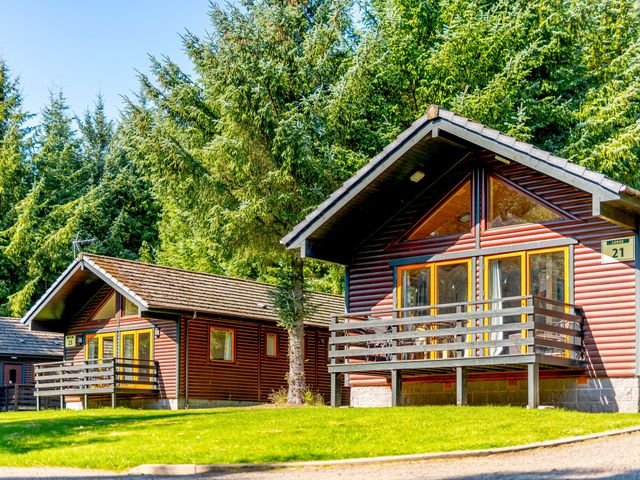 Osprey Lodge (Pet) - 1192894 - photo 2