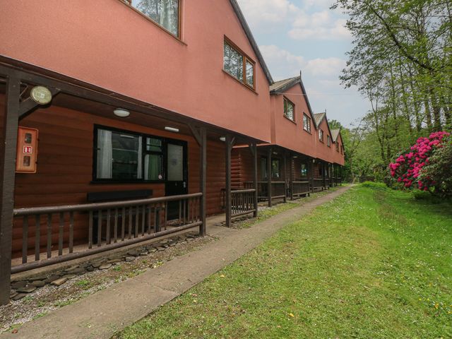 An outdoor view of cabins with a pathway at Cabin No. 3 - Salt and Fern Cabins Goytre near Port Talbot