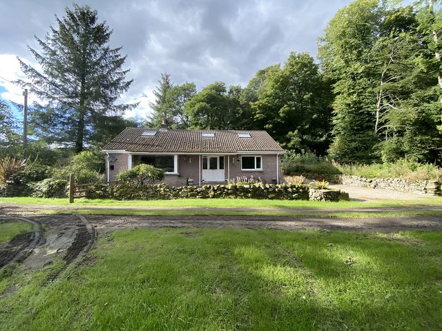 A house surrounded by trees and garden at Whispering Trees Cottage Thornhill