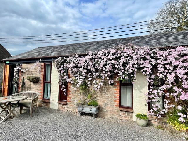 Honeypot Cottage - 1193886 - photo 1 