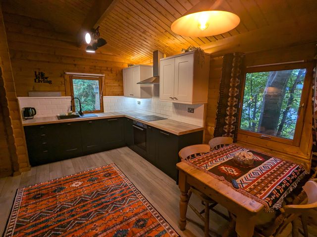 Pineshadow Lodge - 1193966 - photo 3
