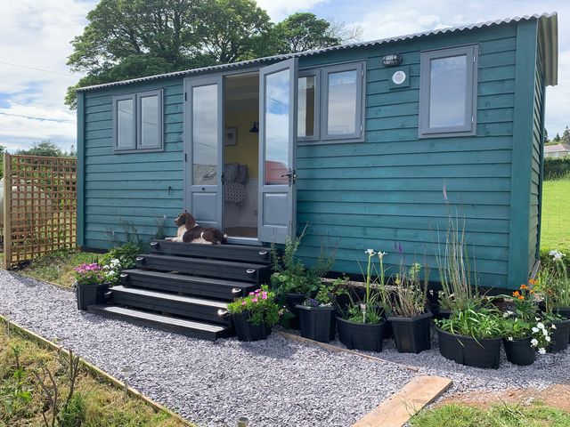 Bluebell Shepherd’s Hut - 1193968 - photo 1 