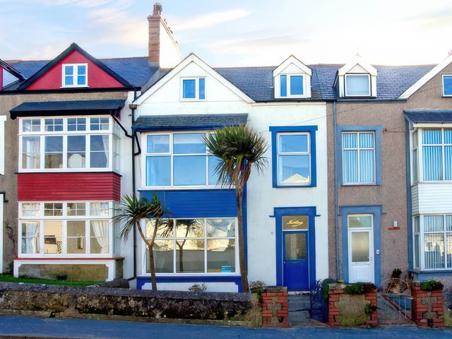 A row of houses with windows and a palm tree at Morlais in Rhosneigr