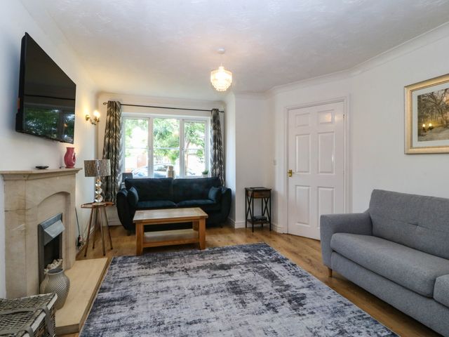 Meadow View - 1195785 - photo 5