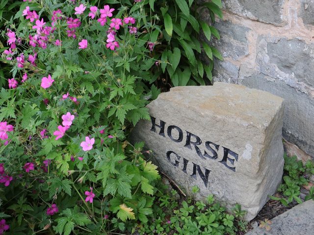 Horse Gin - 1195950 - photo 5