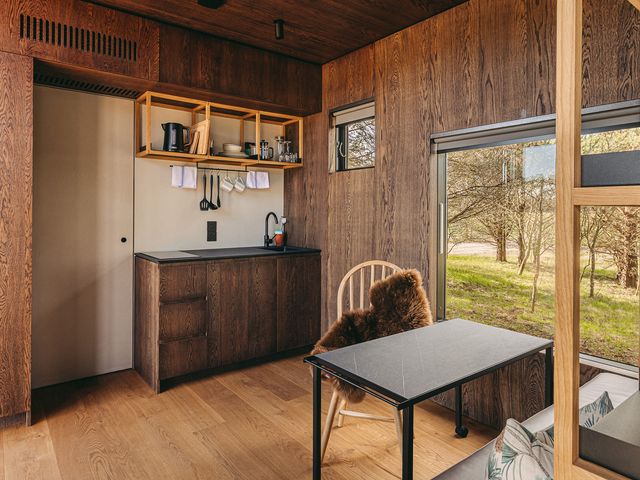 Owl - 1196045 - photo 2