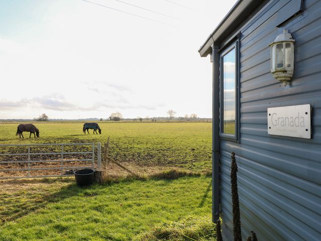 A field with two horses grazing beside a building at Granada at Avalon Eco Farm in Cambridge
