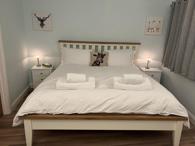 Woodland Lodge The Snug - 1196953 - photo 5