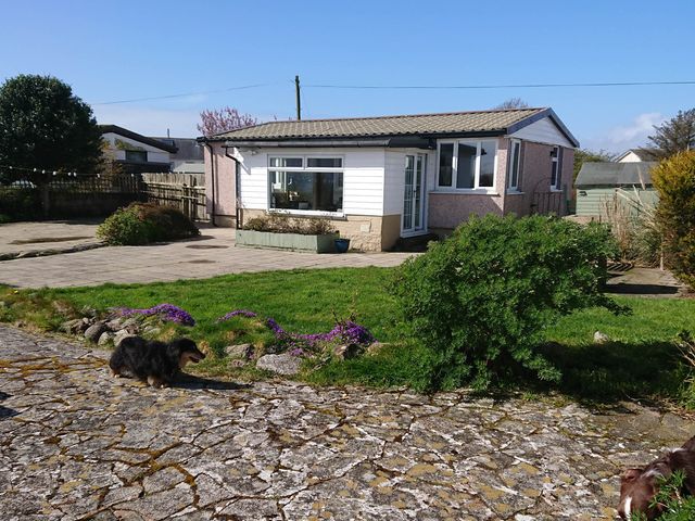 A house with a garden and a dog at Wagtail Cottage in Southerness
