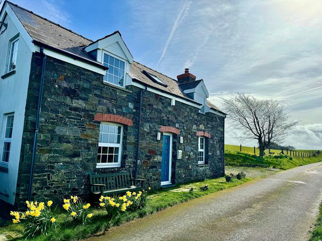 A house with a blue door and a flower bed at Penpegws near Aberystwyth