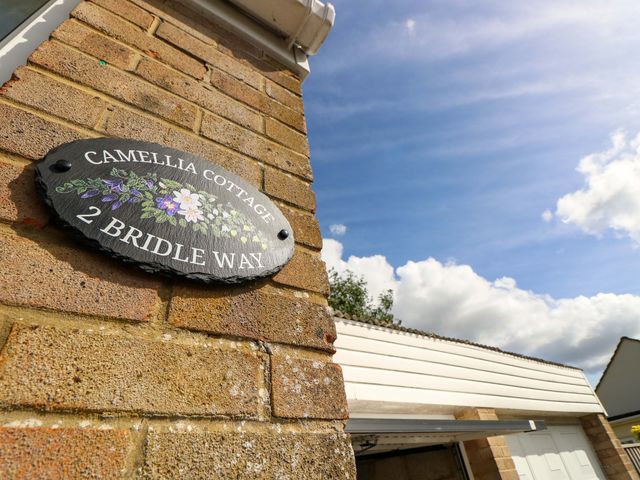 Camellia Cottage - 1198406 - photo 3