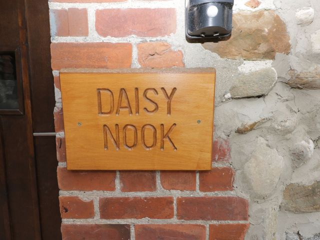 Daisy Nook - 1198456 - photo 2