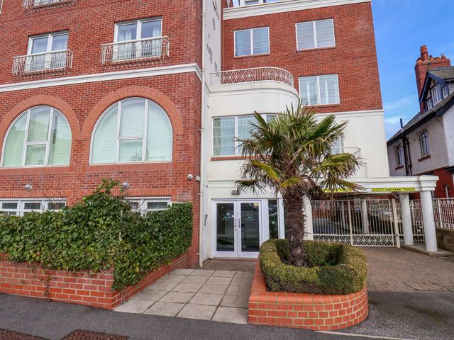 An entrance area with a palm tree and plants at Apartment 12