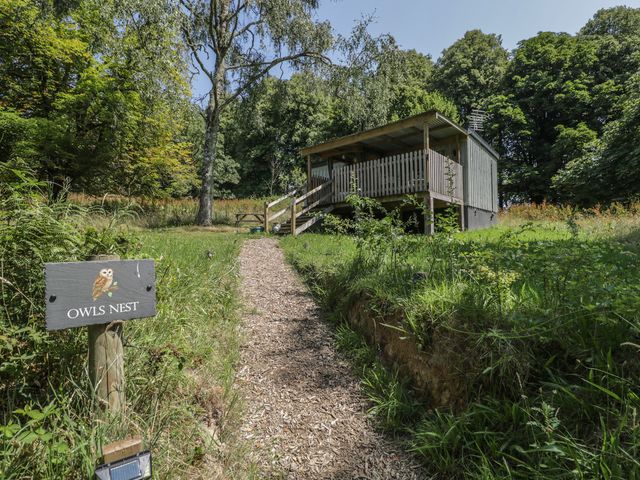 Owls Nest Lodge - 1199353 - photo 1 