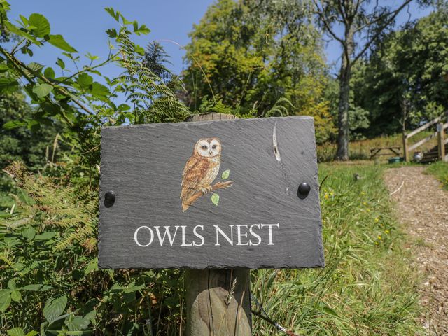 Owls Nest Lodge - 1199353 - photo 2