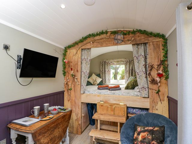 Valley View Shepherd's Hut - 1199360 - photo 5