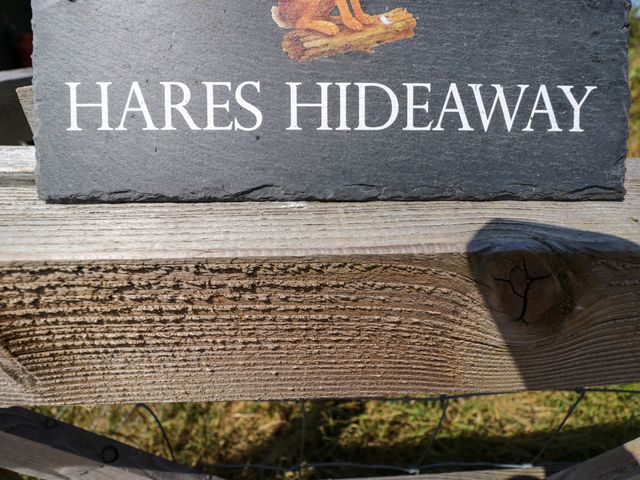 Hares Hideaway Shepherd's Hut - 1199362 - photo 3